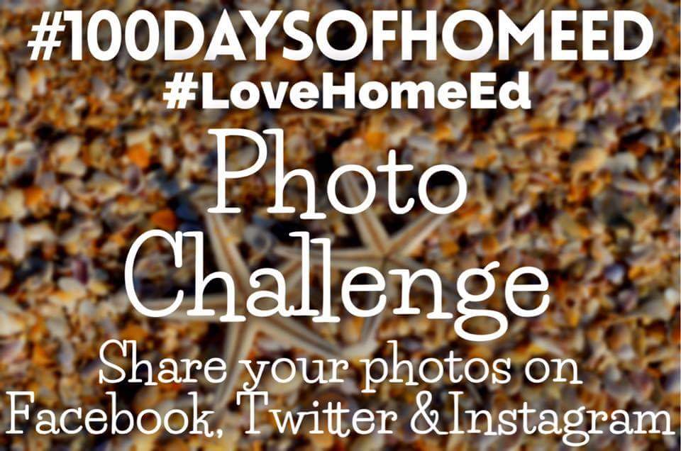 Living Life Our Way, #100daysofhomeed, #LoveHomeEd, 100 days of home ed, freedom to learn, guest post, Home Education, SEND