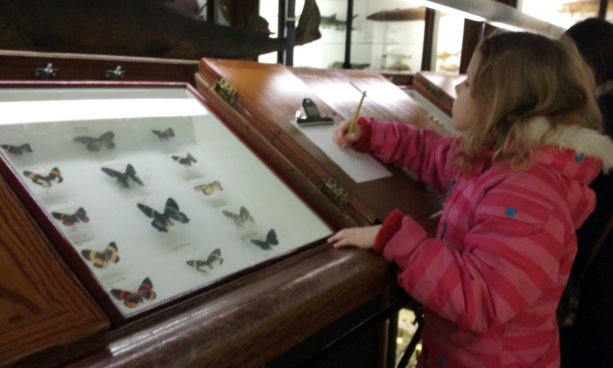 #100daysofhomeed, #LoveHomeEd, 100 days of home ed, Living Life Our Way, freedom to learn, guest post, Home Education, Tring museum