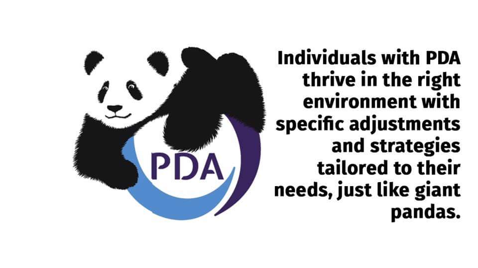 PDA society, PDA panda, pathological demand avoidance, PDA, autism, ASC, SEND