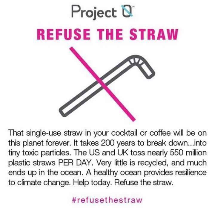 #refusethestraw, #strawless, #StopSucking, plastic free, single use plastic, plastic straws, environment, sustainability, eco, green living, campaign, St Albans, Herts