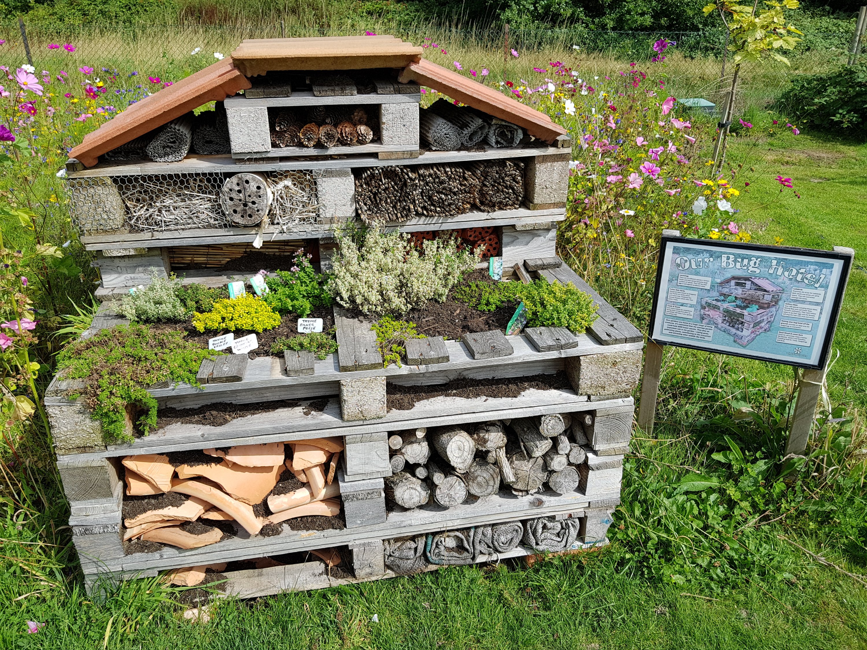 Celebration Gardens, bug hotel, wildlife, insects, outdoors, get outside, nature, places to visit, Aylett Nurseries, Hertfordshire, Living Life Our Way