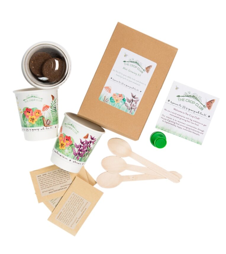 Mini growing kit by Crop ClubWellness Gift Guide: Gift Ideas For Health and WellbeingÂ Â  