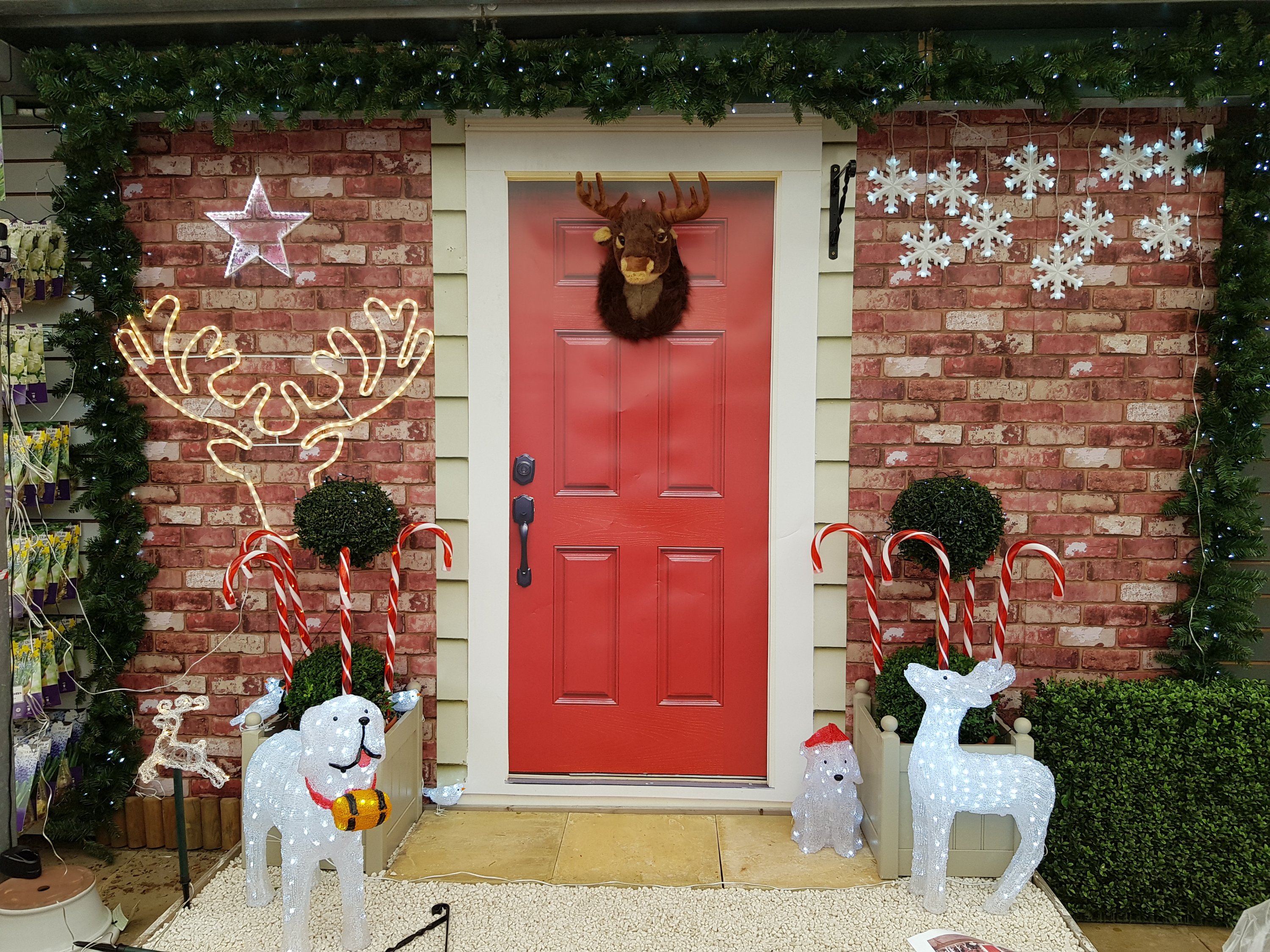 Notcutts, St Albans, Christmas door display