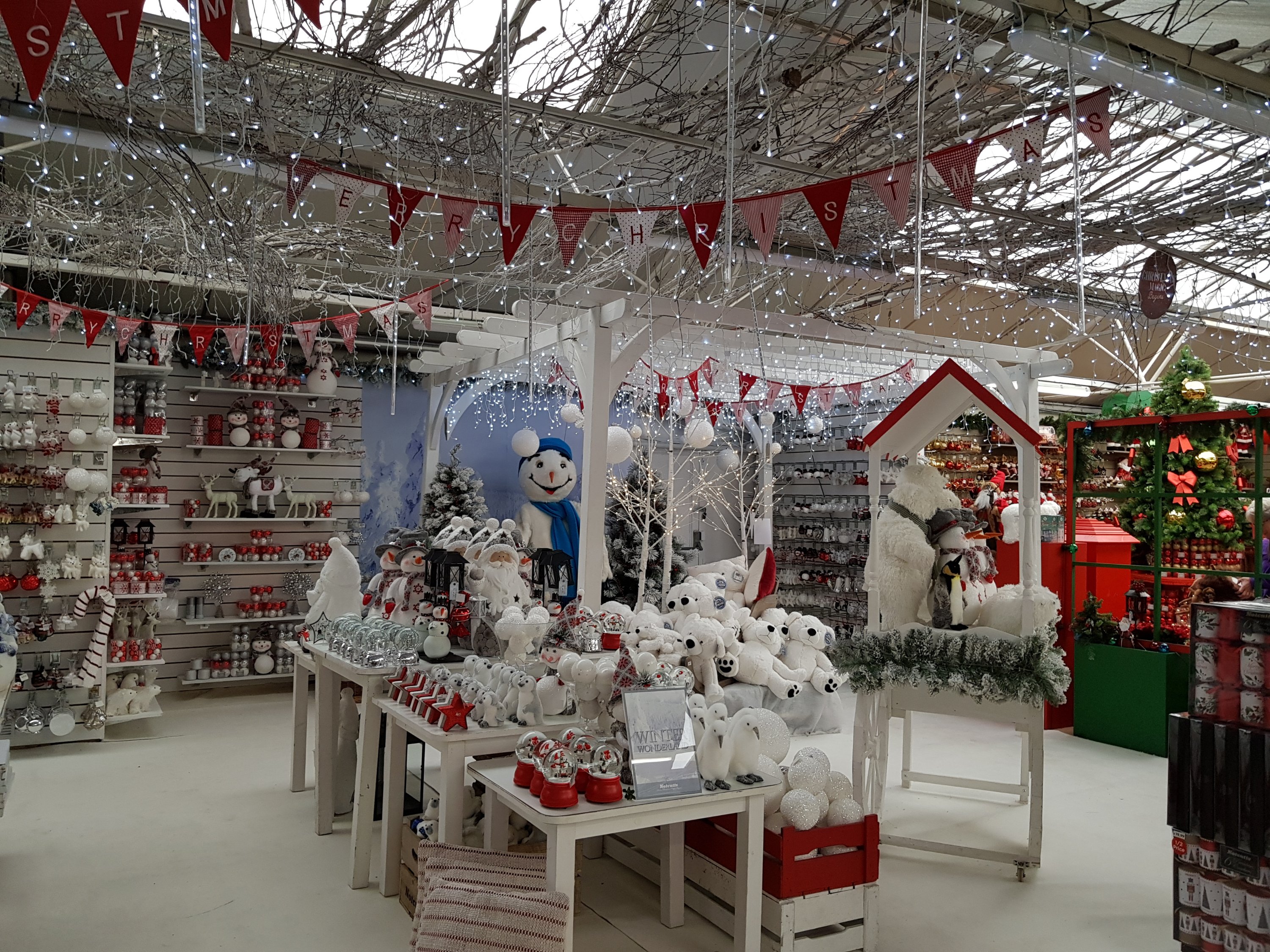 Notcutts Christmas section
