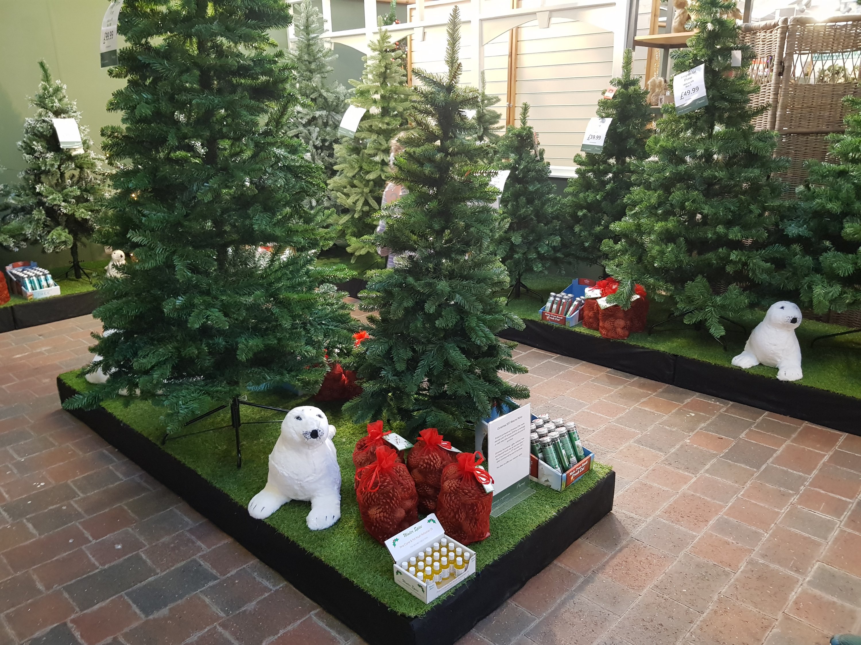 xmas display at Burston with Christmas trees and seals