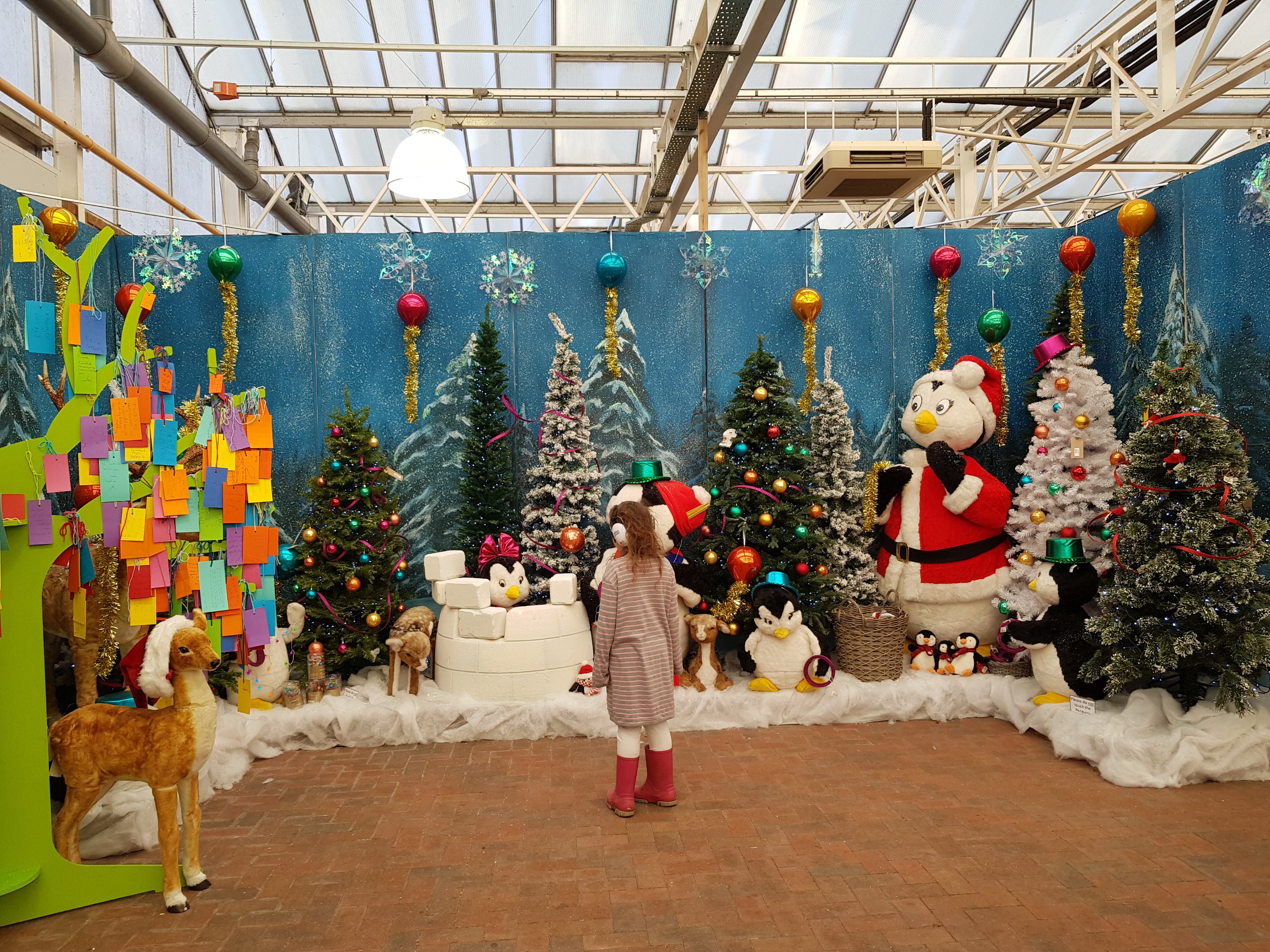 Colourful festive Christmas display Burston Garden Centre St Albans