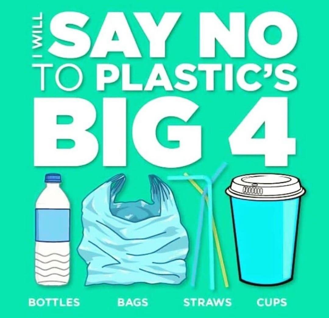 how to live more sustainably - say no to plastic