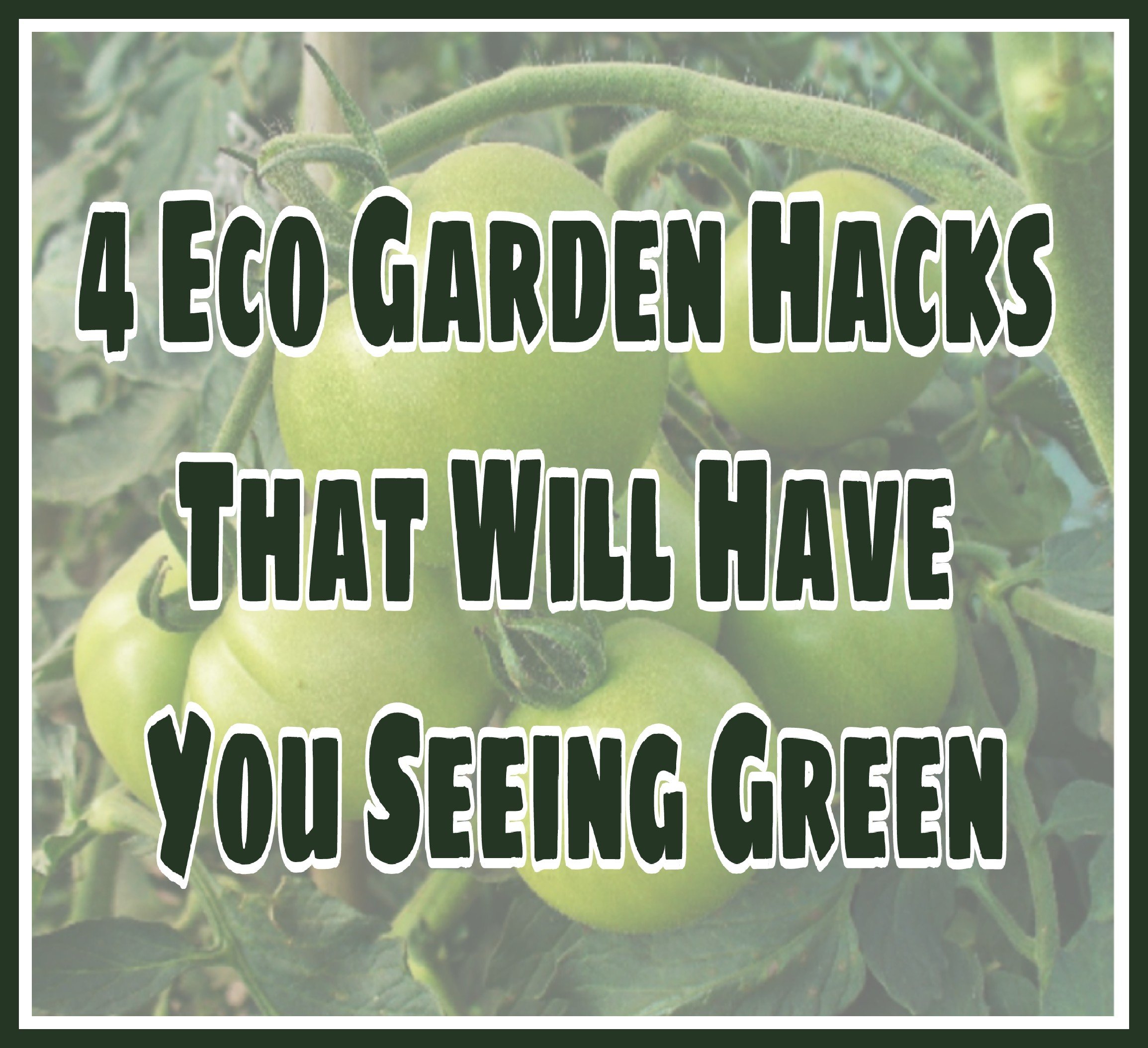 4 Eco Garden Hacks That Will Have You Seeing Green title on faded background image