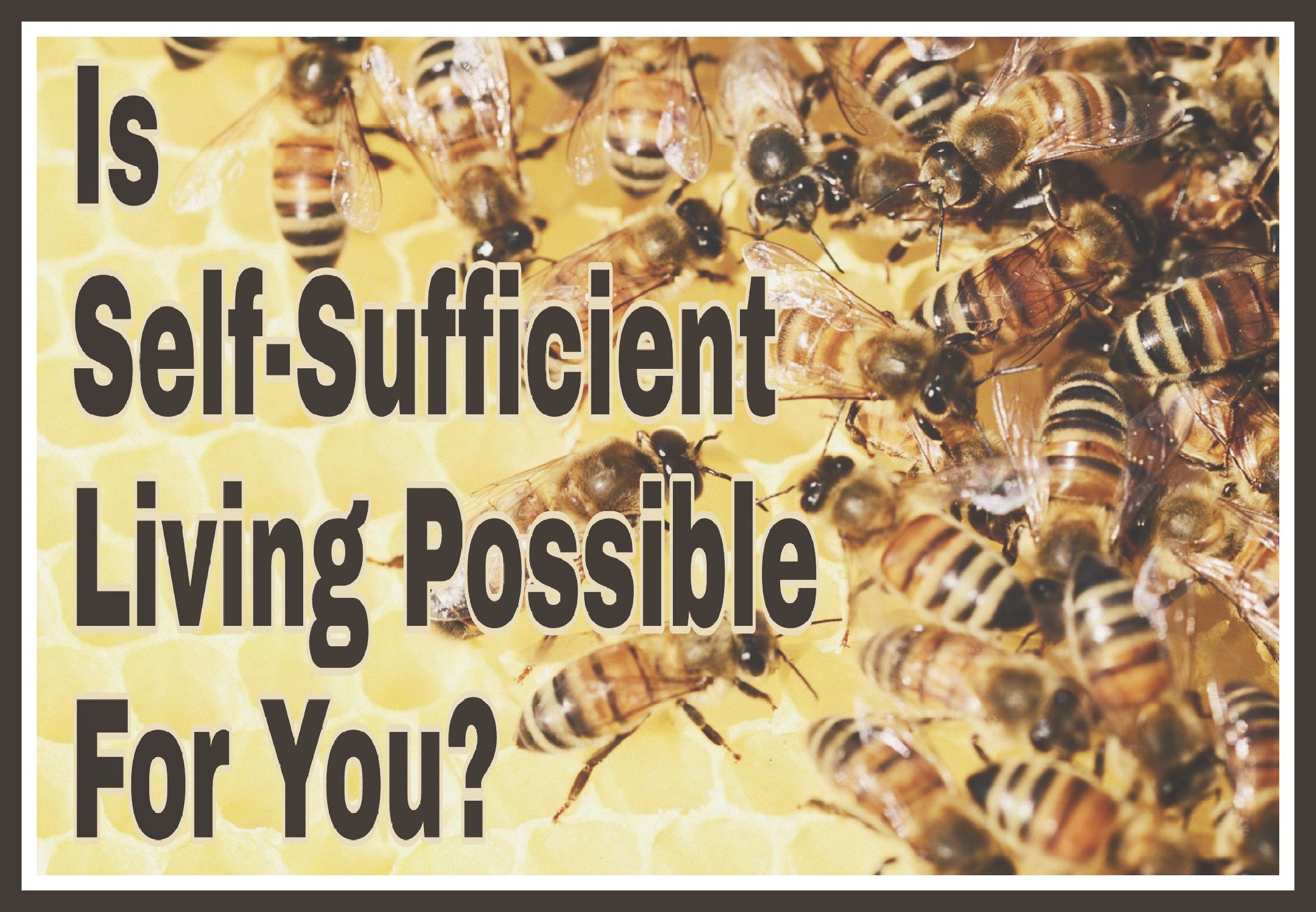 Is Self-Sufficient Living Possible For You? Title on background image of bees.