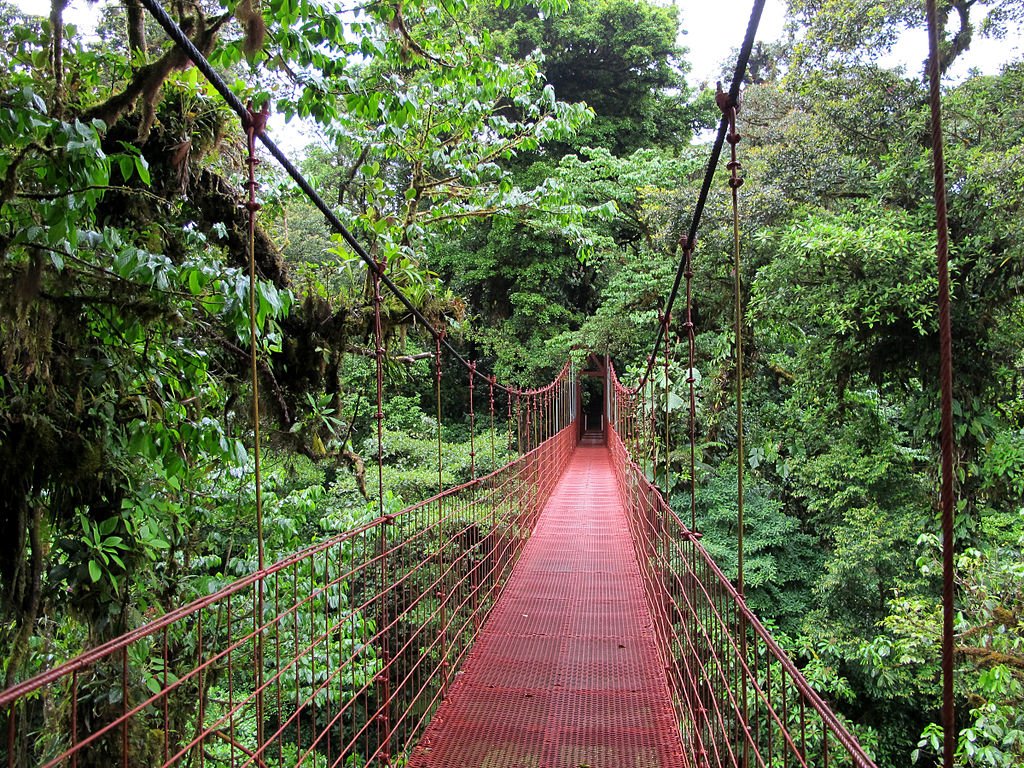Monteverde Cloud Forest hanging bridge above the forest canopy.