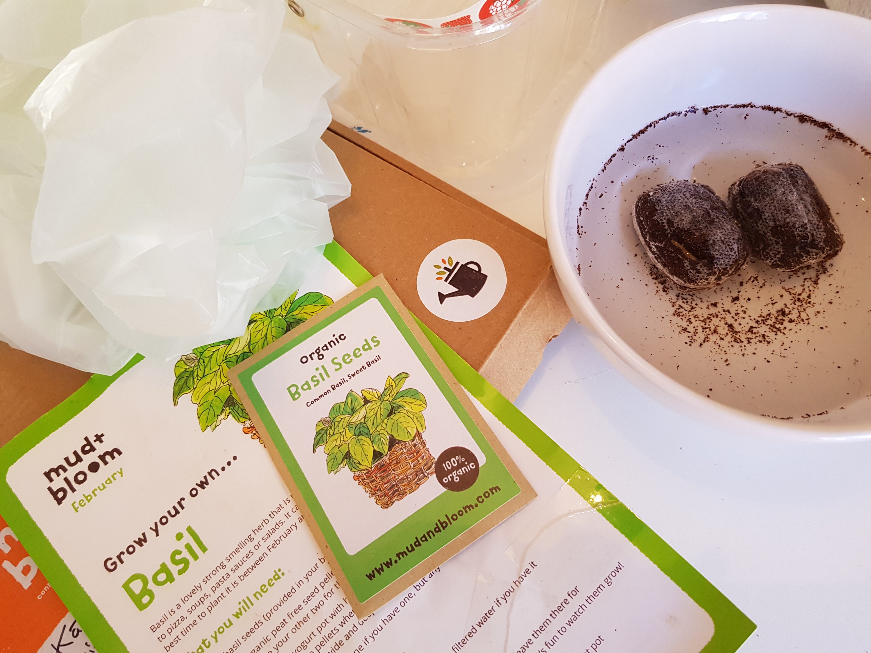 An image of everything needed for grow your own basil. Soil pellets expanding in water.