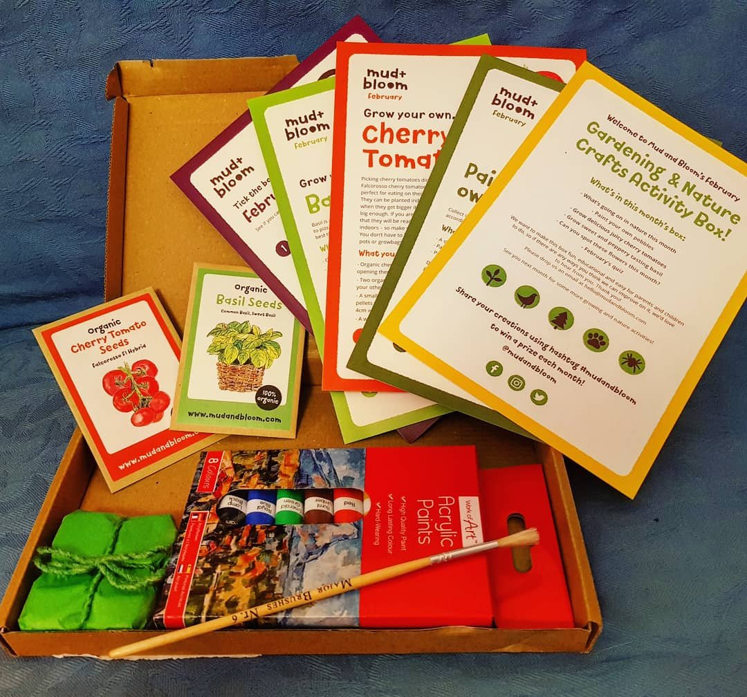 Mud and Bloom nature crafts and gardening subscription box - image of contents