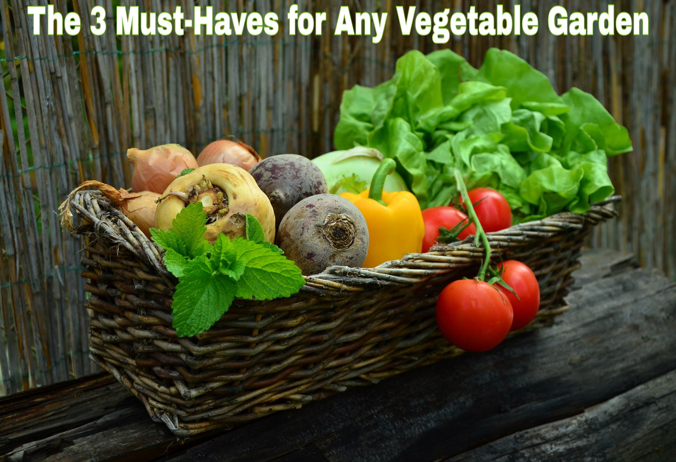 The 3 Must-Haves for Any Vegetable Garden title with a picture of delicious fresh vegetables in a basket.