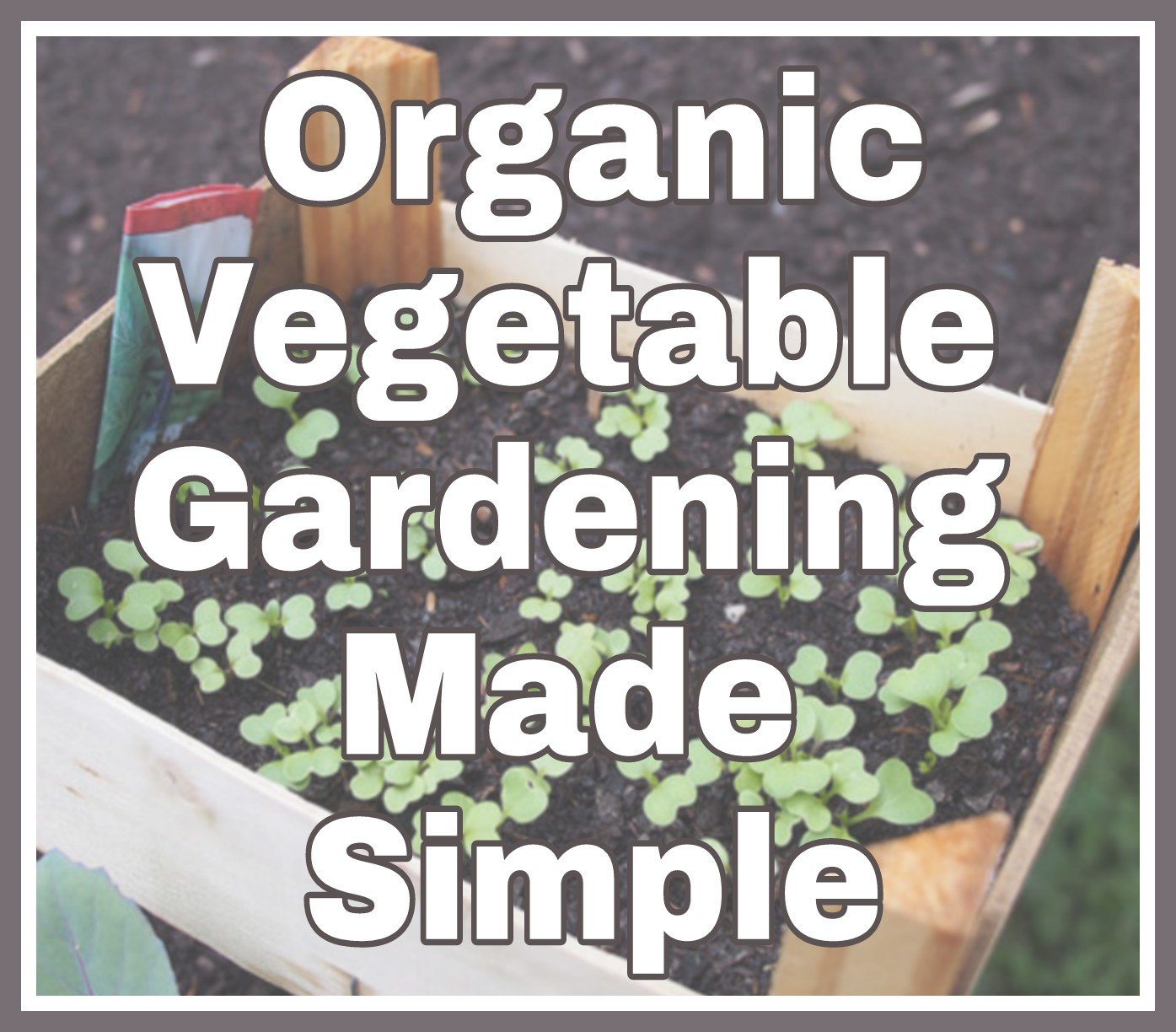  Organic Vegetable Gardening Made Simple title on faded background image