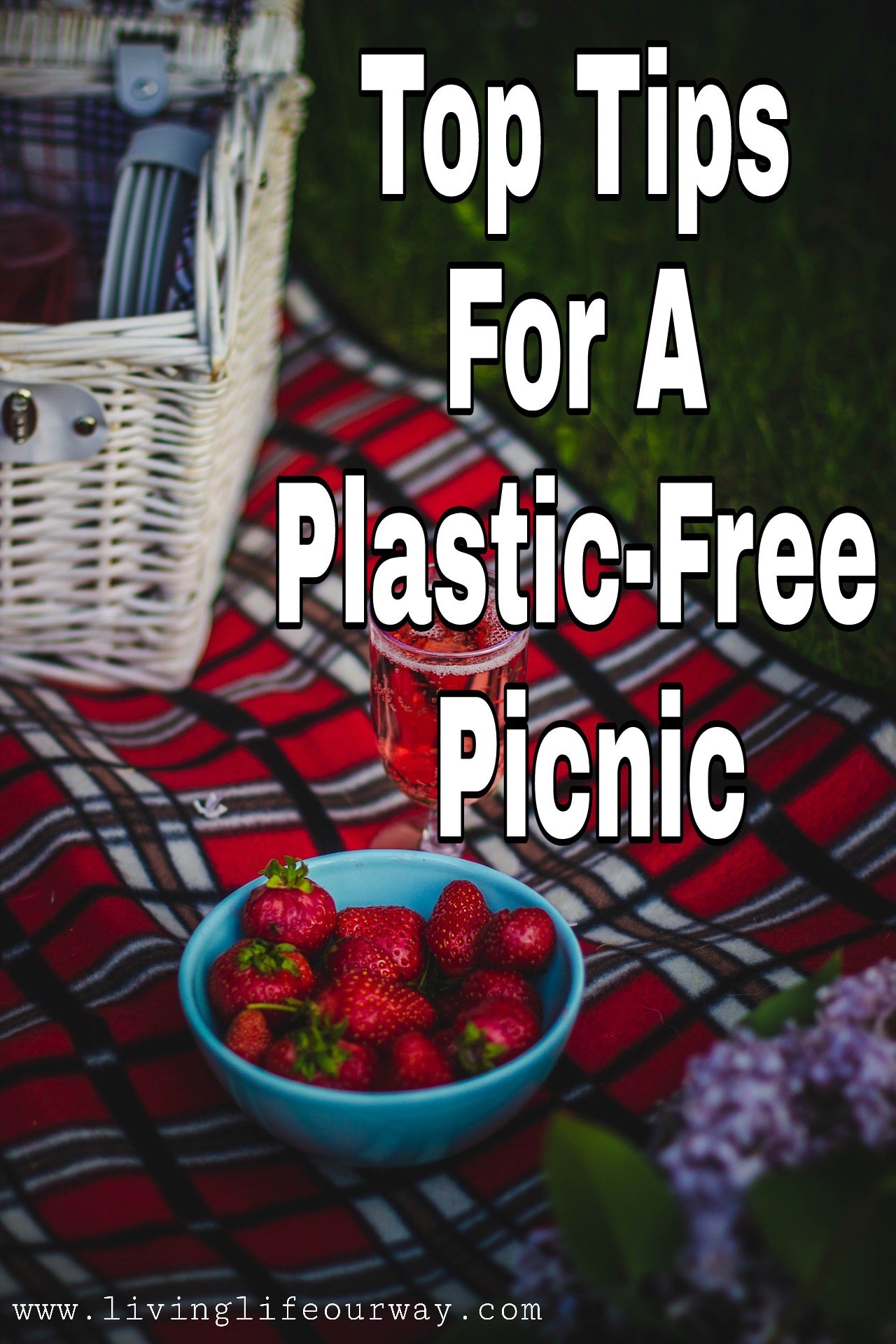 Top Tips For A Plastic-Free Picnic