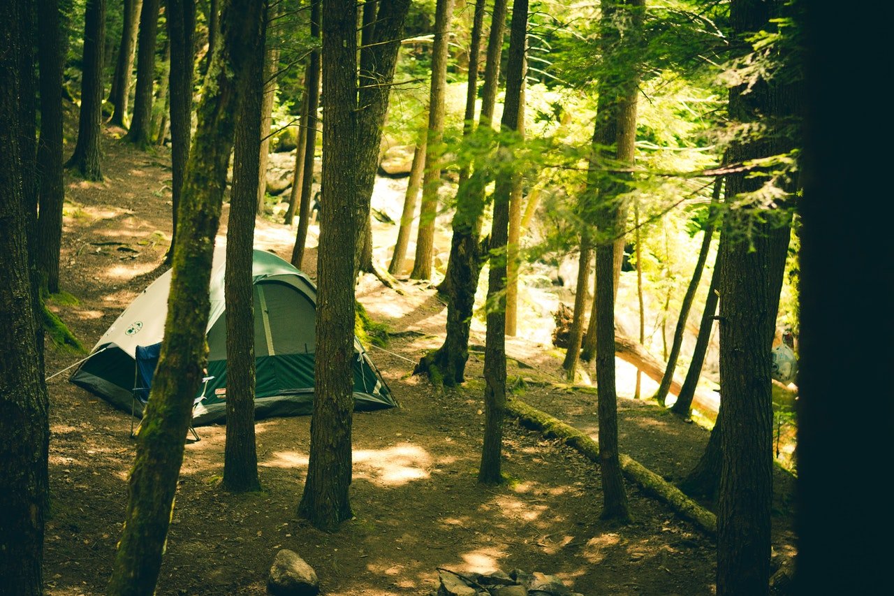 A tent in the forest