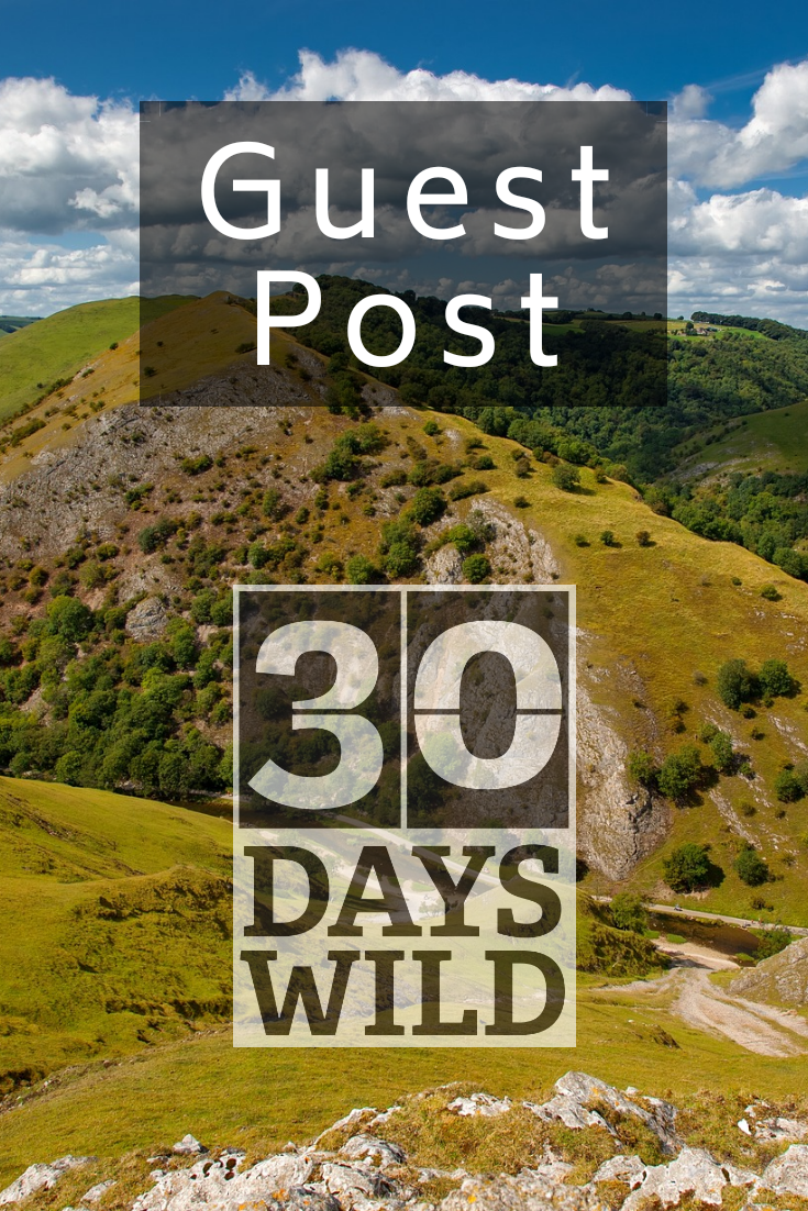 30 Days Wild guest post. ilam peak district image