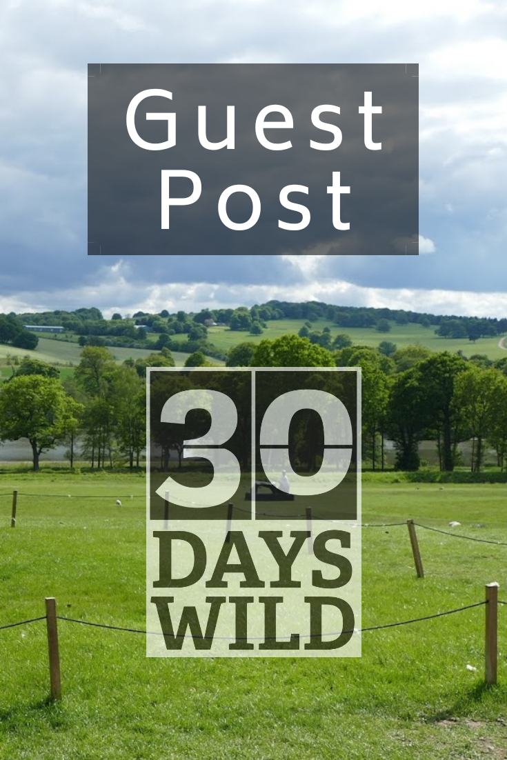 30 days wild guest post