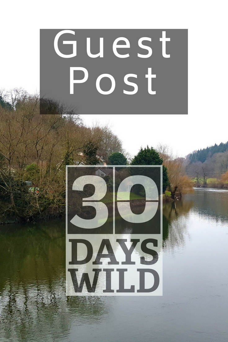 30 Days Wild guest post - life in rose tinted glasses
