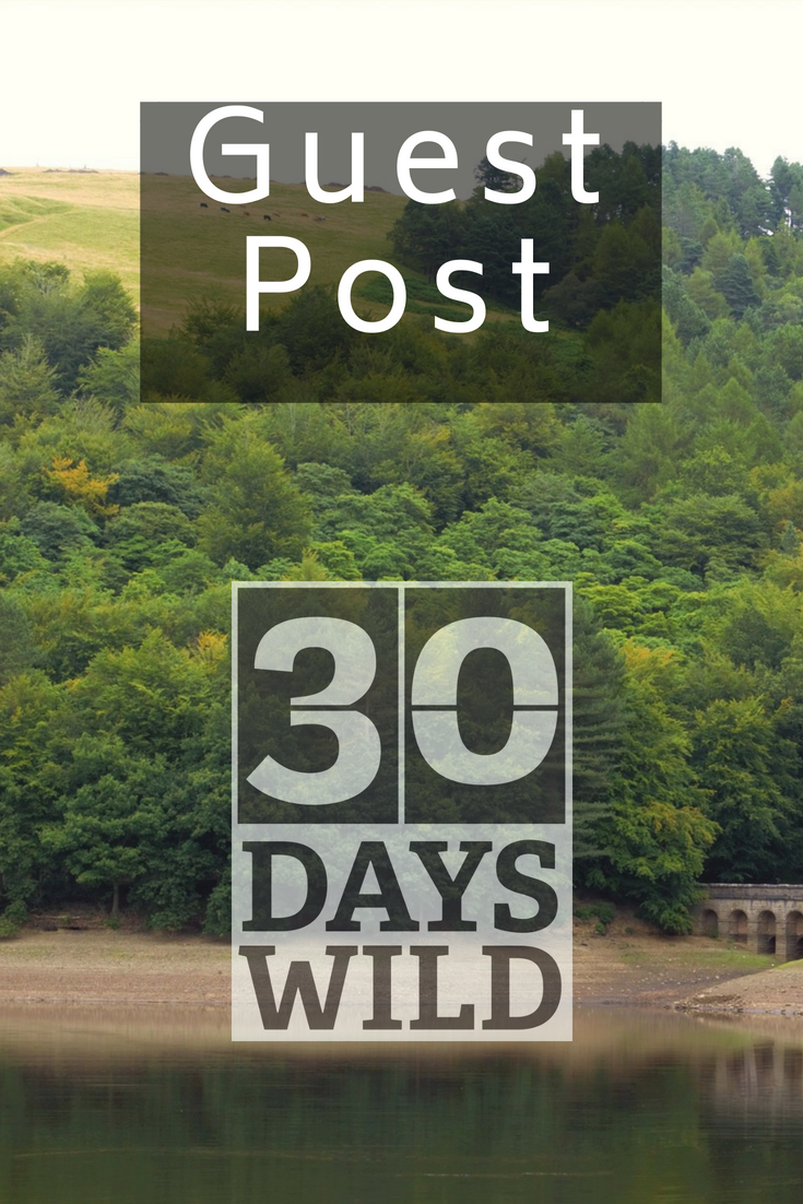 Becky the Traveller - 30 days wild guest post