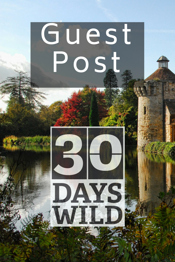 Guest post 30 days wild. Image Kent castle