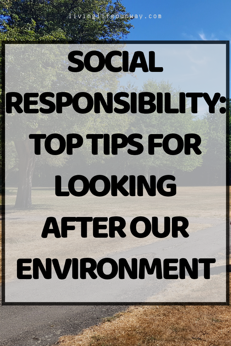 Social Responsibility: Top Tips For Looking After Our Environment