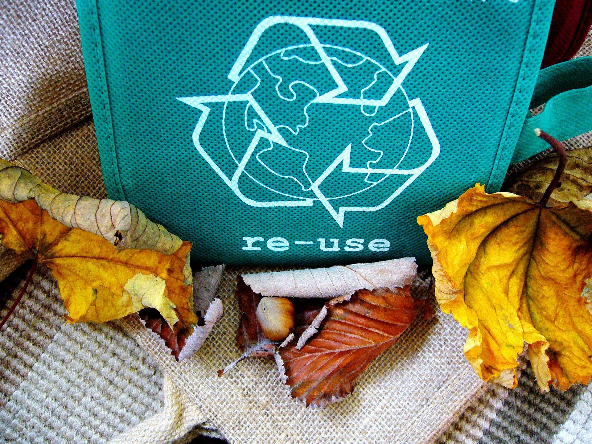 Reuse bag surrounded by leaves and nature