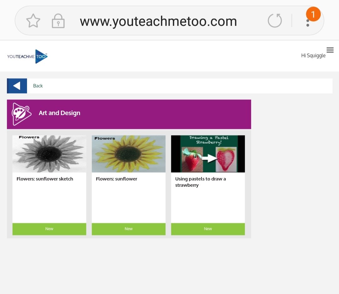Screenshot of Squiggle's pupil account. Educational teaching learning videos. YouTeachMeToo tutorial subscription service.
