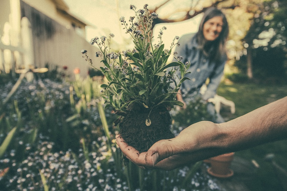 Hand holding plant and woman smiling in background.
