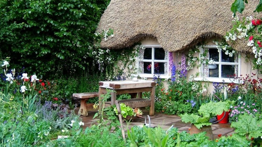 Tiny house veg garden
