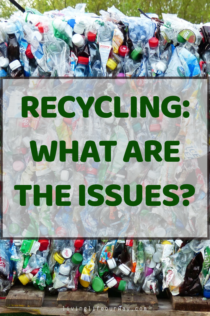 Recycling: What Are The Issues?