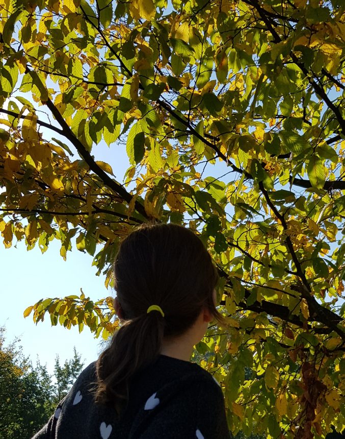#HelloYellow hair tie looking up at yellow leaves