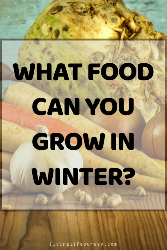 What Food Can You Grow In Winter?
