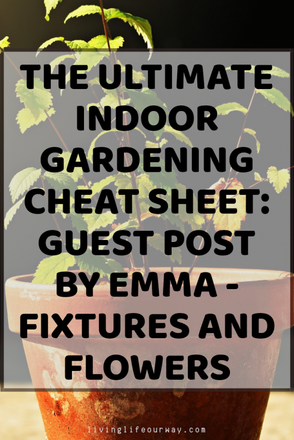 The Ultimate Indoor Gardening Cheat Sheet: Guest Post by Emma - Fixtures and Flowers