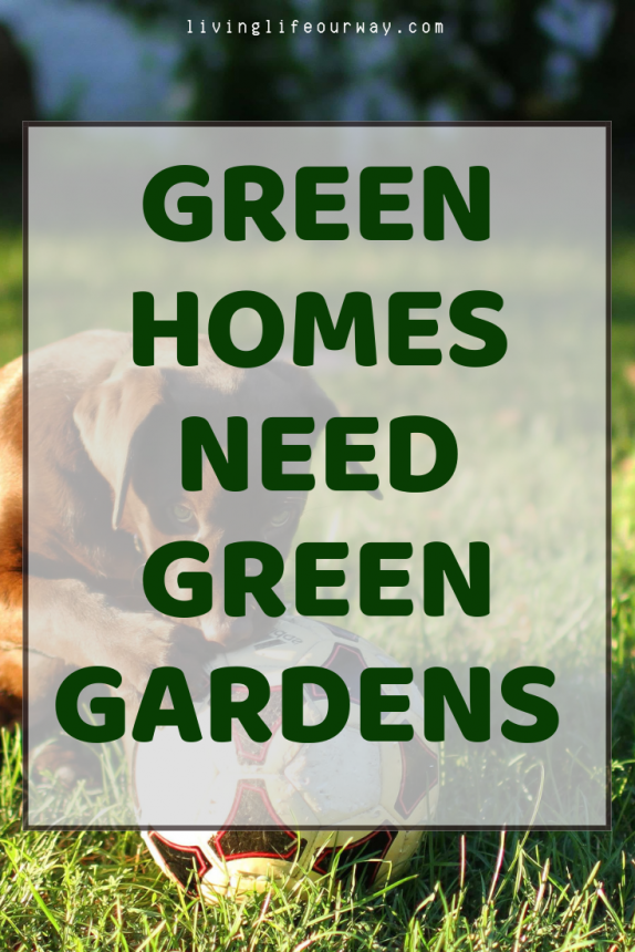 Green Homes Need Green Gardens 