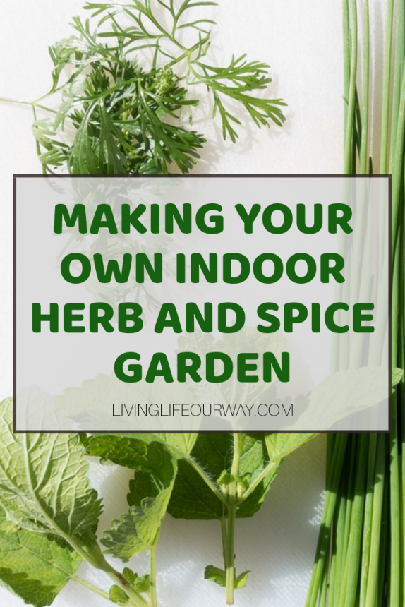 Making Your Own Indoor Herb and Spice Garden background mint picture