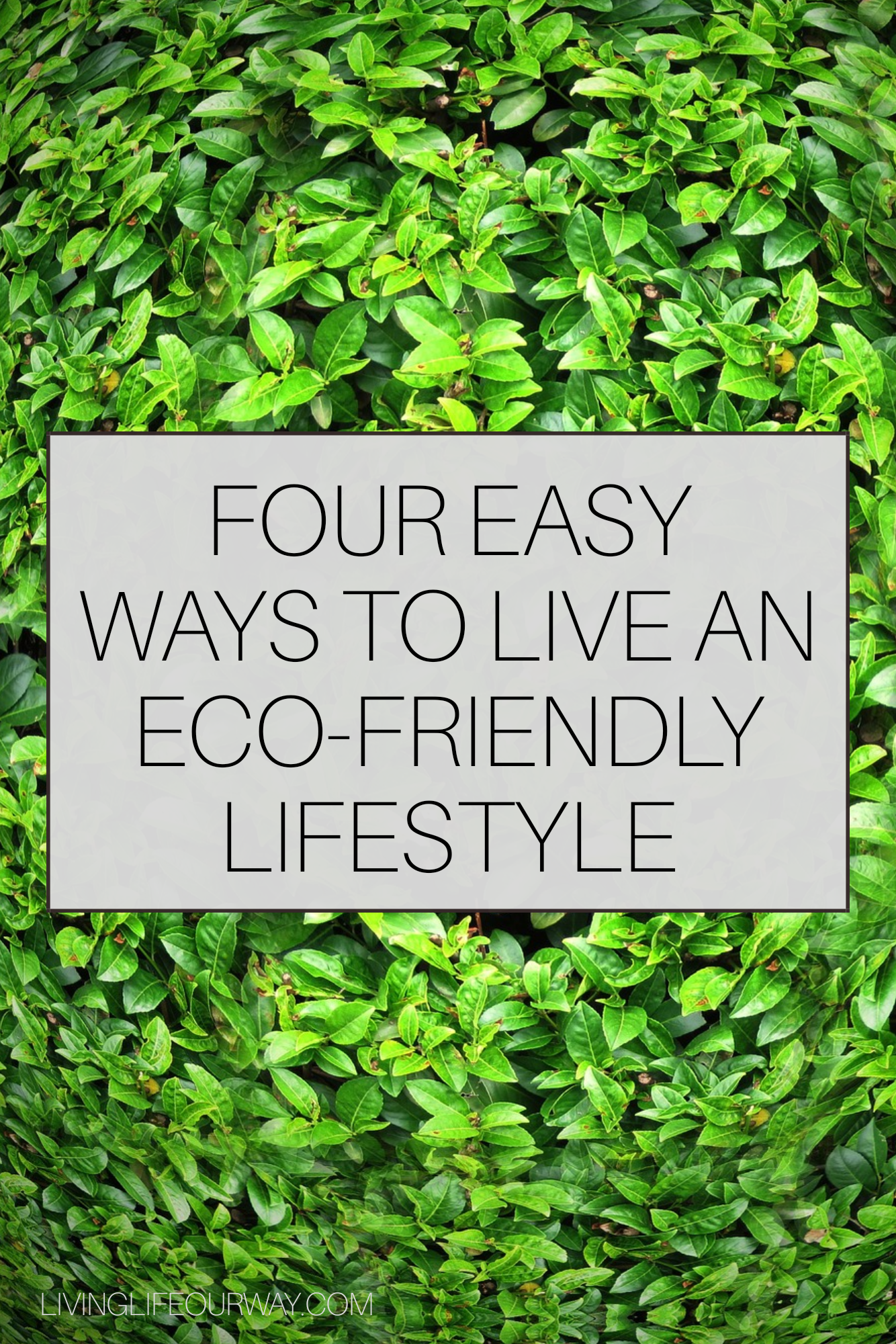 Four easy ways to live an eco-friendly lifestyle