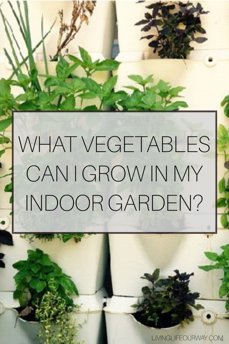 What vegetables can I grow in my indoor garden?