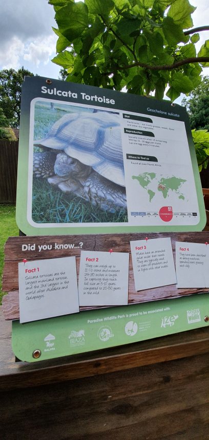 Tortoise facts. Paradise Wildlife Park.