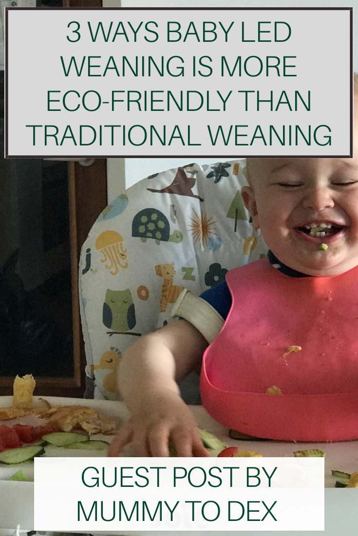 3 Ways Baby-Led Weaning Is More Eco-Friendly Than Traditional Weaning: Guest Post by Mummy To Dex