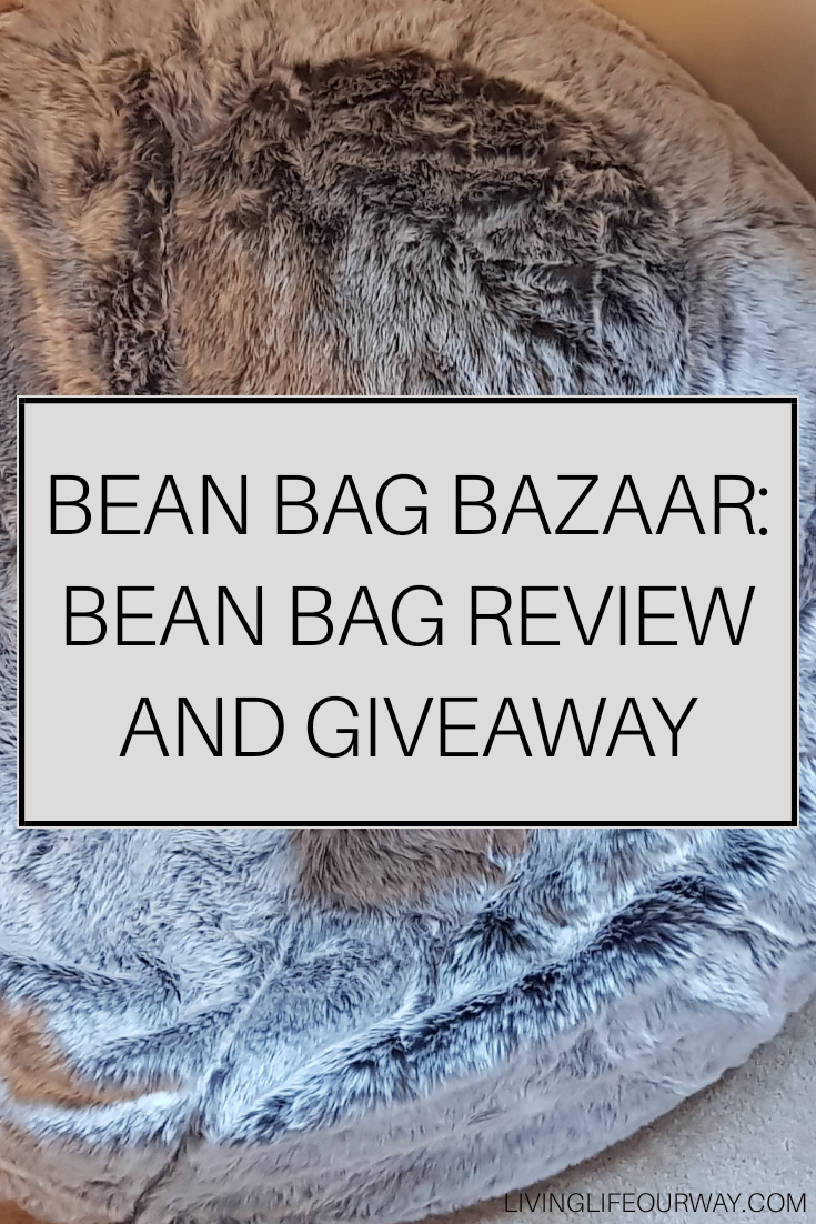 Bean Bag Bazaar: Bean Bag Review and Giveaway