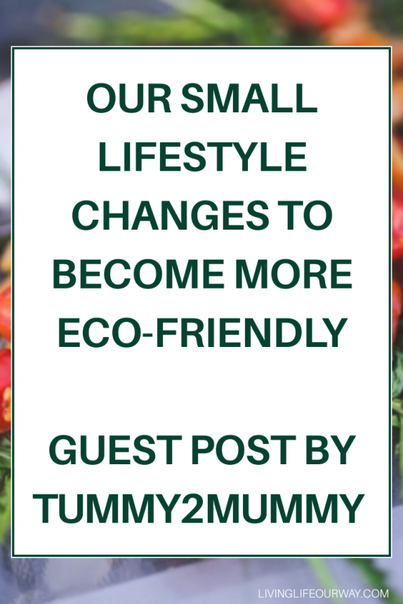 Our Small Lifestyle Changes To Become More Eco-Friendly: Guest Post by Tummy2Mummy 