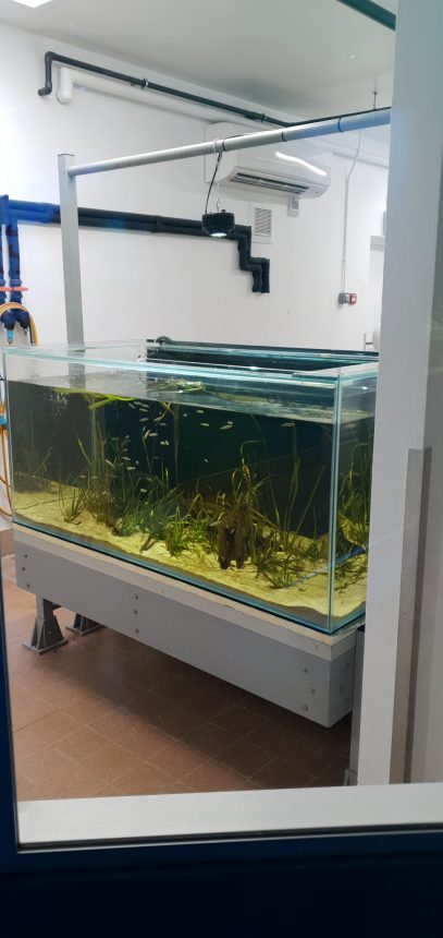 Whipsnade Aquarium conservation and protection