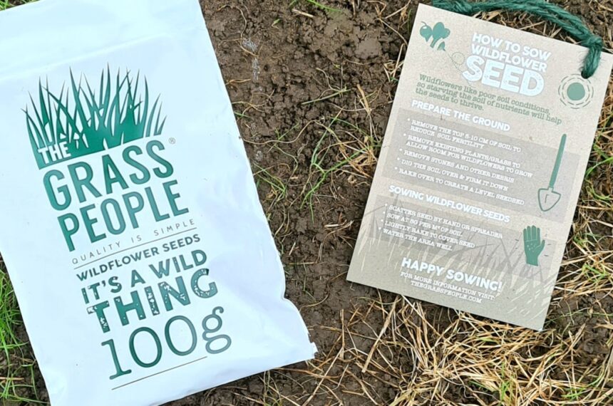 The grass people save the bees wildflower seeds