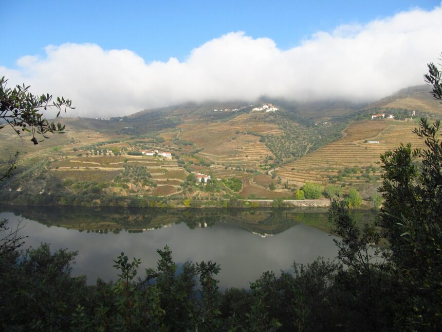 Yoga retreats - douro valley - Portugal