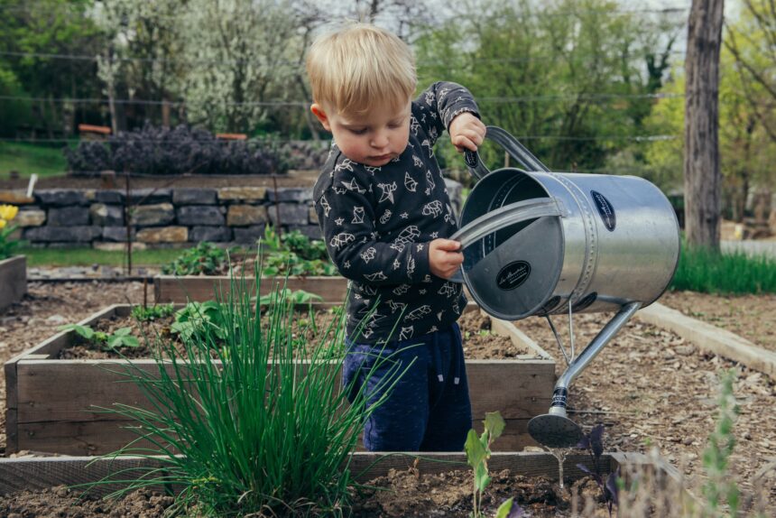How To Make Your Garden Safe For Children