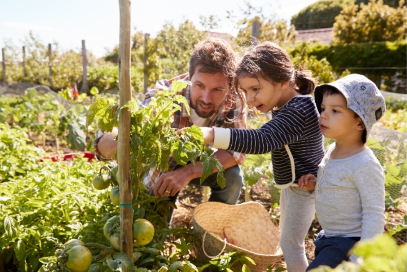 The benefits of gardening with your child