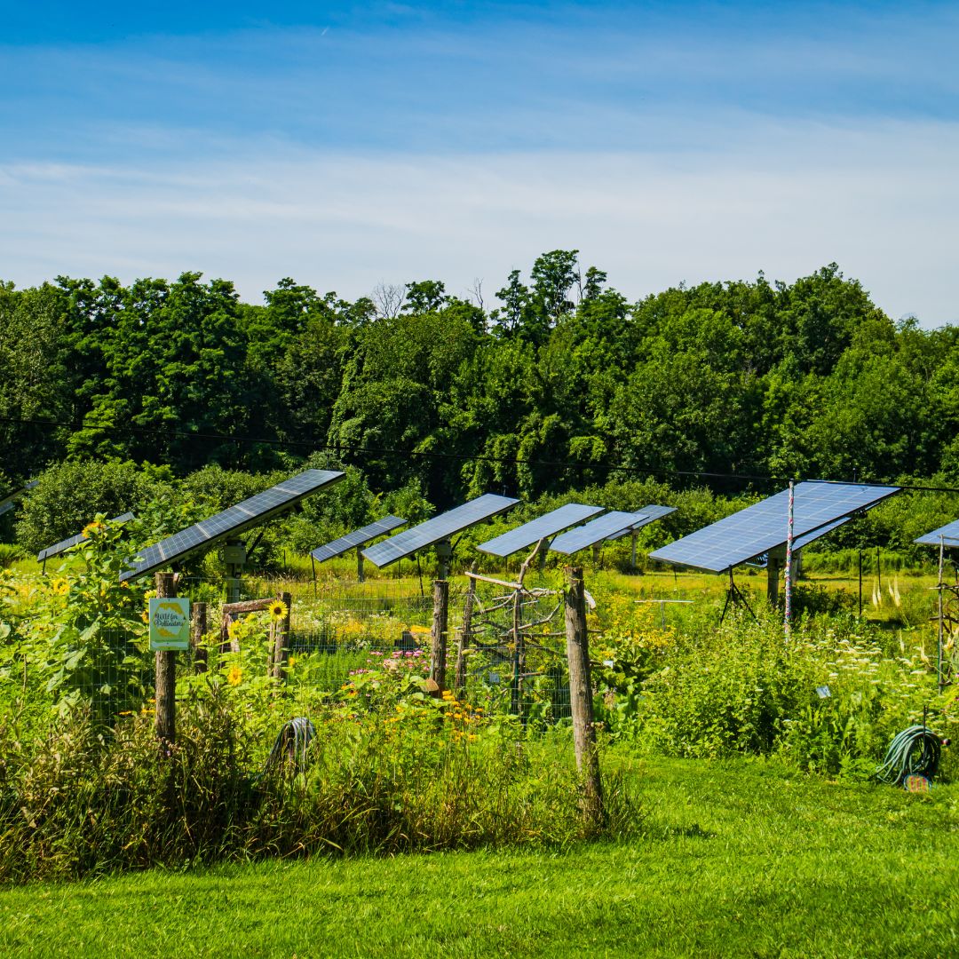 The Benefits of Using Solar Energy in a Garden