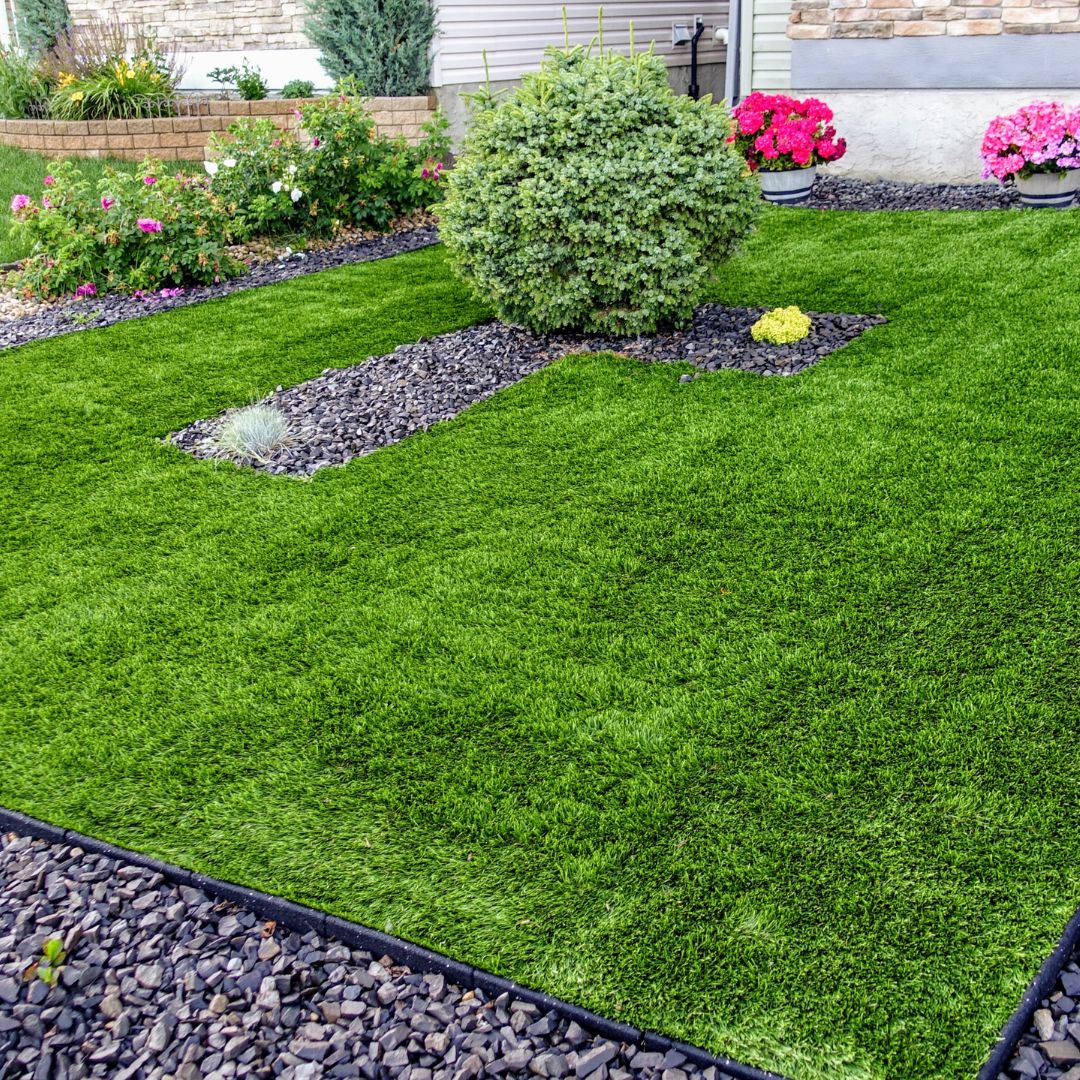 How To Keep Your Lawn Healthy in the Summer