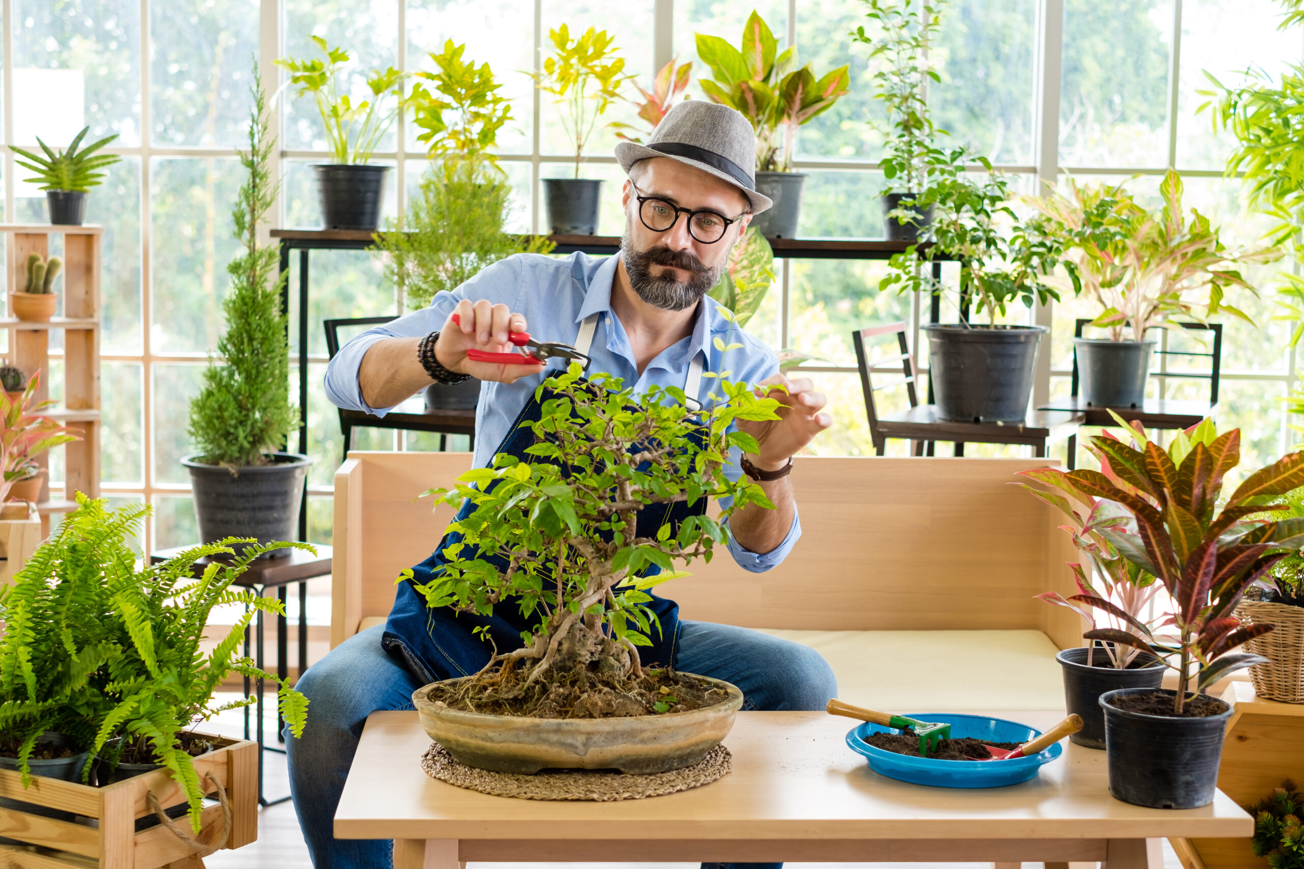 A man wearing an apron sitting on a stool and trimming a bonsai plant while surrounded by various other indoor plants.